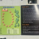 호랑이캠핑 이미지