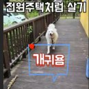 전원 어린이집 이미지
