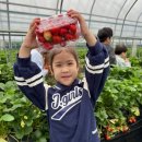 에이스농장 이미지