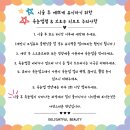 데일리딜라잇 | 불당동 속눈썹 딜라잇풀 뷰티 대만족스러운 속눈썹펌 후기