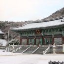 보문사 Daum카페