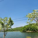 다리골가든 이미지