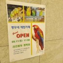 리프패럿 이미지