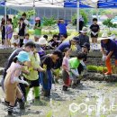 동화초등학교 이미지