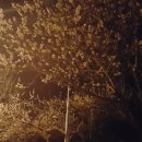 백운산민박 이미지