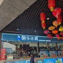 실크로드 | [중국]시안 여행 필수 코스|실크로드 쇼 관람 후기(전설의 낙타 방울 쇼)Camel Bell Show, 공연 시간...