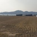 대산면909 이미지