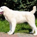 하만농장 이미지