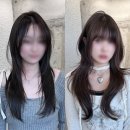 하이레이어드컷 펌과 염색 선택 후기