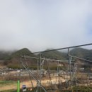 지리산황금농장 이미지