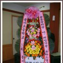 풍서초등학교 이미지