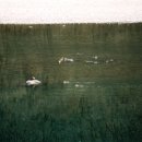 오션파크 민박 이미지