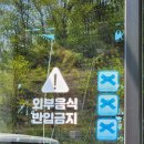 청주대형카페 남이면 트리브링 솔직후기, 포토존이 다양한 정원 스타일!