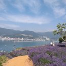 진성 마을회관 이미지