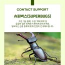 여주-0840 네이버블로그