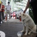 경포축산 이미지