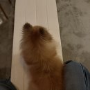 후추하우스
