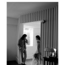 헤이쥬드 이미지