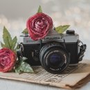 꼬리 흔드는 강아지 이미지