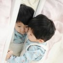라임오렌지스튜디오 - 전주시 덕진구 정언신로 73 | 라임오렌지스튜디오