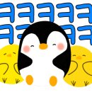 연경짬뽕전문점 이미지