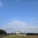 장성잔디생산자영농법인 이미지