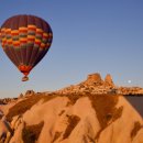 금양바텍 이미지