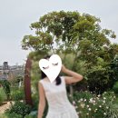 GS25태화강정원점 | 울산 피크닉 명소 추천 - 태화강 국가정원
