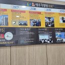 오세인정형외과의원 티스토리