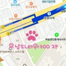 우남동물병원 이미지