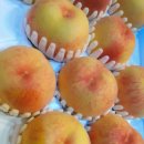 육일농원 이미지