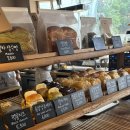 겜숲 플스카페 이미지