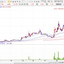 선도전기 이미지