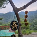 무릉도원1 | [영월 팬션] 영월 무릉도원흙집 펜션 후기, 자연 속에서 제대로 쉬고 온 1