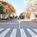 신선마을 이미지