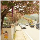 김삿갓면-3 이미지