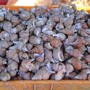 삼척번개시장 이미지