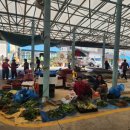 일로5일시장(1) 이미지