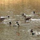 배다리생태공원 이미지