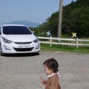 그안 | 20260425 27개월 아기랑 국내여행 남해 설천면 양떼목장 양모리학교 방문 후기