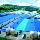 진왕영농조합법인 이미지