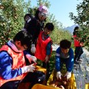 최용순농장 이미지