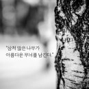 나무들의 연애/e맑은 숲 이미지