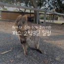 (주)케이피에이글로벌투어 | 서호주 퍼스 2박3일 일정 추천⎟쿼카섬 로트네스트/피나클스 선셋,별빛 투어/킹스파크