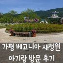 가평 베고니아 새정원 아이랑 다녀온 내돈내산 후기 알고 보니 통일교?