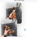 명품수선오태슈케어 이미지