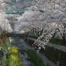 진해여자고등학교 이미지