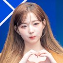 정하연 카카오 검색결과