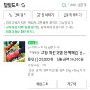 제철 동죽 해감&amp; 보관 (달빛도마 동죽)