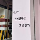 네일도예쁜손